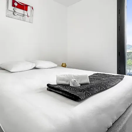 Apartment Homey Luxury - Proche Du Centre-ville, Des Transports, De Geneve *